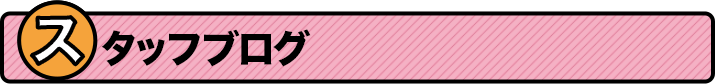 スタッフブログ